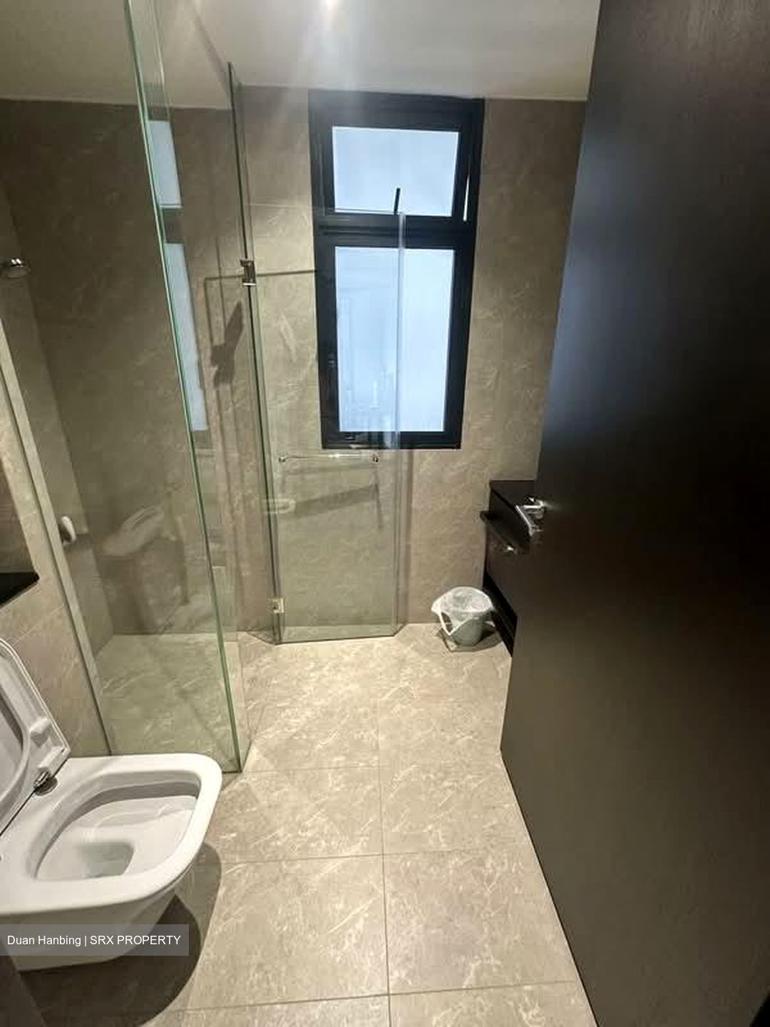 Park Colonial (D13), Condominium #577847791
